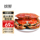 熟凍面包蟹新鮮鮮活特大超大珍寶蟹生凍熟食梭子蟹海鮮水產(chǎn)大螃蟹 600-800g*1只 凈【特大滿膏】
