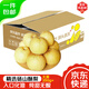 京地達安徽碭山老樹(shù)酥梨凈重5斤大果350g+ 香梨貢梨子 源頭直發(fā) 包郵 