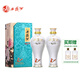 西鳳酒國花瓷10年紀念版宴請送禮收藏52度鳳香型白酒 52度 500mL 2盒