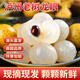瀘小陽(yáng)瀘州桂圓龍眼新鮮采摘瀘州老樹(shù)龍眼 現摘現發(fā)源頭直發(fā) 五斤裝