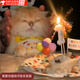 喆煒跨境寵物狗狗貓咪生日裝扮圍兜派對用品口水巾毛氈帽子廠(chǎng)家直銷(xiāo) 寵物生日5件套蠟燭+盤(pán)子+插花+氣球+卡紙數字2