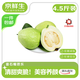 京鮮生白心芭樂凈重4.5斤單果150g+ 番石榴 脆果 新鮮水果源頭直發(fā)包郵
