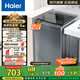 海爾（Haier）波輪洗衣機全自動家用 10公斤大容量直驅(qū)變頻 一級能效家電國家補貼20% 懶人除螨漩瀑洗 以舊換新 EB100B32Mate1