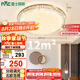 雷士（NVC）LED吸頂燈輕奢浪漫臥室書房餐廳燈具滿天星北歐燈飾包安裝