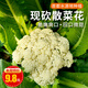 密農(nóng)人家農(nóng)家自種散菜花 新鮮菜花 脆嫩花菜 每日現(xiàn)采花椰菜 時(shí)令蔬菜500g