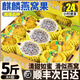 儲褚順豐海南燕窩果 新鮮麒麟果魚(yú)子醬水果 旗艦店新鮮當季白心火龍果 精選2斤中果（單果3-4兩）禮盒裝