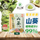 本山葵云南鮮山葵醬10g*5袋小包裝無(wú)芥末辣根0添加用于日料壽司刺身魚(yú)生
