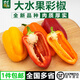 千牛優(yōu)福大水果彩椒1-5斤 新鮮燈籠生吃甜椒辣椒沙拉涼拌蔬菜新品順豐包郵 2斤