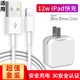 超琰蘋果iPad充電器頭手機平板12w快充超琰適用ipad air2 Pro mini4 3 6插頭2 【iPad套裝】快充頭+快充數據線1米