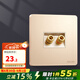 德力西（DELIXI） 開關(guān)插座面板 CD821系列帶開關(guān)香檳金無框大板插座  二位音響插座