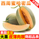 甜果源  新鮮哈密瓜蜜瓜甜瓜皮薄肉厚多汁果園直發(fā)果農(nóng)精選應(yīng)季整箱包郵 3斤嘗鮮裝