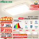 雷士（NVC）燈具全光譜吸頂燈客廳大燈聲控LED北歐奶油風(fēng)護(hù)眼白悠然包安裝