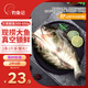 釣魚(yú)記 斑點(diǎn)叉尾鮰魚(yú)1斤-1.3斤 二去凈重 冷凍 烤魚(yú)紅燒烤生鮮 魚(yú)類(lèi)海鮮
