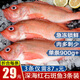 鮮拔頭籌 新鮮紅石斑魚 大眼魚富貴魚深海魚生鮮魚類 海鮮水產(chǎn)紅魚 【推薦 特大規(guī)格】1.8-2.2斤*3條