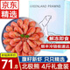 鮮拔頭籌 滿(mǎn)籽北極甜蝦 頭籽北極蝦 即食甜蝦 熟凍冰蝦 90-120規格 北極熊高腹籽 4斤(凈重)  /盒