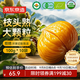 京東京造有機(jī)板栗仁1kg(10袋)山姆同款即食栗子堅(jiān)果炒貨充饑休閑零食團(tuán)購(gòu)