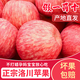 洛川蘋(píng)果紅富士蘋(píng)果25年新果 陜西延安特產(chǎn)時(shí)令生鮮水果禮盒  產(chǎn)地直發(fā) 凈重8.5斤 精選大果約18-21枚（單果190g+）