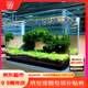 森森 超白玻璃小型熱彎水草魚(yú)缸HRK-600套缸+過(guò)濾器+水草燈