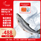 純爾挪威冰鮮三文魚(yú)整條(8斤以上)/條 生食刺身 源頭直發(fā)包郵中秋送禮