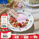 德國唯寶（Villeroy&Boch）小花園系列 進(jìn)口精細餐具瓷器 歐式餐盤(pán) 家用餐盤(pán)碗精細瓷器 深盤(pán) 20cm