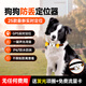 智匯寵物定位GPS追蹤器 狗狗貓咪定位器牛羊防丟項(xiàng)圈動物防走丟神器 狗款精準(zhǔn)定位+鈴聲尋找+收到即用 4G智能版防走失北斗雙星定位儀
