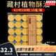 無(wú)煙酥油蠟燭燈供佛燈小太陽(yáng)植物天然酥油室內長(cháng)明燈居家煮茶蠟燭 4小時(shí)100粒-黃色1盒
