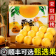 山姆伯伯山東蒙陰黃油桃子【JD閃送可選】黃金蜜毛桃新鮮水果脆甜桃子 S+級貢品果丨單果170g+【蕞甜】 凈重9斤裝【送禮豪氣-黃金蜜級】