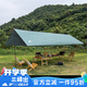 三峰出 三峰戶外天幕210T超輕超大天幕防雨水涂銀防曬雨篷車篷野炊帳篷 3x4m草綠涂銀+2桿+繩釘