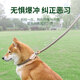 加仕高寵物P鏈M號 狗狗牽引繩狗繩狗鏈項(xiàng)圈中小型犬狗狗外出遛訓(xùn)犬狗帶