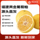 趣嘗鮮 福建 黃金葡萄柚 4.5斤 單枚350g+ 新鮮水果 水果 一件包郵