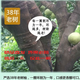 仙游度尾文旦柚清甜多汁孕婦當季新鮮水果現摘現發(fā)紅心紅肉白肉蜜柚 20斤無(wú)孔【壞果包賠嚴選老樹(shù)】 普通快遞-果園發(fā)【嚴選中大果嘗鮮裝】