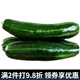迭果青龍脆瓜頭茬水瓜捎瓜燒瓜菜瓜新鮮稍瓜低糖水果5斤