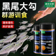 瘋狂水草黑尾大勾魚(yú)飼料魚(yú)食小型魚(yú)專(zhuān)用魚(yú)糧觀(guān)賞孔雀魚(yú)群游訓練器250ML*2