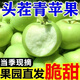 折佰匯陜西青蘋(píng)果新鮮水果當季現摘酸脆孕婦綠蘋(píng)果應季時(shí)令酸甜整箱脆甜 【大果】?jì)艄?.5斤（18-20個(gè)裝）