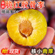 庾豐 新鮮當季現(xiàn)摘脆紅李 新鮮水果整箱 孕婦酸甜脫骨脆李子 團購送禮 5斤裝（凈果4.5斤）甄選果 源頭直采 顆顆甄選