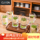CLITON玻璃水杯茶杯 帶把扎啤杯啤酒杯 可樂杯果汁杯飲料杯6只裝