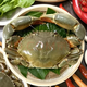 東山島野生青蟹海鮮水產(chǎn)鮮活大螃蟹1只凈重1斤鮮活發(fā)出順豐包郵 肉蟹450g-500g/只