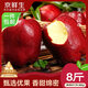 京鮮生天水花牛蘋(píng)果 凈重8斤 單果170g+ 生鮮水果源頭直發(fā)