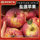 異果戀四川大涼山鹽源冰糖心丑蘋(píng)果瀘沽湖丑蘋(píng)果紅富士8斤大果純甜無(wú)酸 3斤大果75-80mm【約7個(gè)】