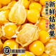 順豐正宗東北燈籠果新鮮當(dāng)季水果姑鳥黃菇娘果孕婦現(xiàn)摘包郵整箱 1斤【整箱】