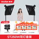 神牛（Godox） 250W閃光燈攝影燈套裝證件照人像拍攝補光燈電商小型攝影棚柔光箱攝影器材 【6】ST250W兩燈套裝-送引閃器