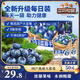 三只松鼠每日藍莓干256g/16包 無(wú)添加水果干果脯小包裝兒童老人辦公室零食