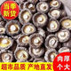 【農戶直銷-拍一發(fā)4袋】香菇干貨肉厚無根菌菇煲湯材料炒菜-JQ 【產地直銷-拍一發(fā)4袋】當季新菇