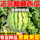 正宗麒麟西瓜薄皮8424冰糖麒麟瓜當季應季超甜有籽脆甜新鮮水果 凈重8-9斤 脆甜多汁一個(gè)瓜