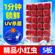 瘋狂水草六角恐龍飼料冰凍紅蟲(chóng)魚(yú)食蠑螈娃娃魚(yú)飼料開(kāi)口專(zhuān)用精品紅線(xiàn)蟲(chóng)魚(yú)糧 精品小紅蟲(chóng) 100g 5板 【京東冰鮮直發(fā)】