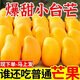 正宗海南特級小臺芒新鮮現摘小臺芒現貨包郵直發(fā) 【5斤大果】?jì)糁?.5斤（單果90g以上）
