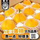 捌零鮮生物語(yǔ)（順豐速運）山東蒙陰黃桃水蜜桃子 黃毛桃 教師節水果禮盒裝 （80%人的選擇）凈4.5斤精選裝