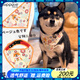puppytie狗狗項圈三角巾脖圈柴犬中型小型犬 米色 均碼