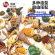 HANYANG貝殼魚(yú)缸造景裝飾擺件套餐水族箱底沙砂石海螺約35個(gè)