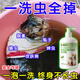 貓咪洗澡專(zhuān)用沐浴露去跳蚤給貓貓小貓洗澡的沐浴露驅蟲(chóng)止癢貓用 1瓶裝 【殺菌驅蟲(chóng)】